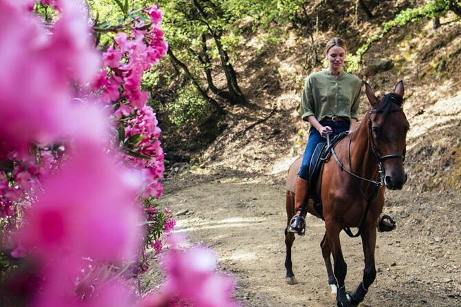Alanya Horse Riding Experience With Free Hotel Transfer - The Syedra stop and the Mediterranean view