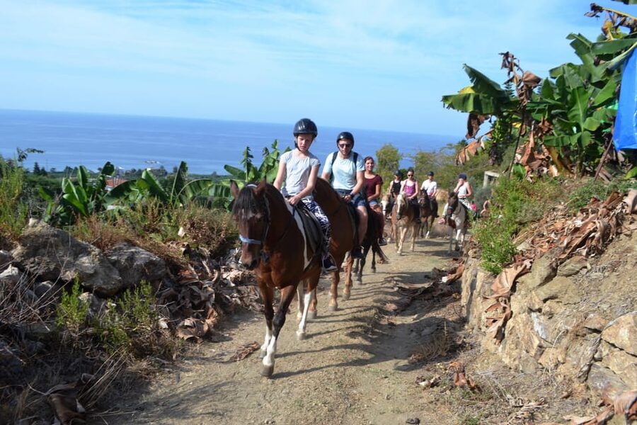 Alanya: Horse Riding Tour - Should you book the Alanya Horse Riding Tour?