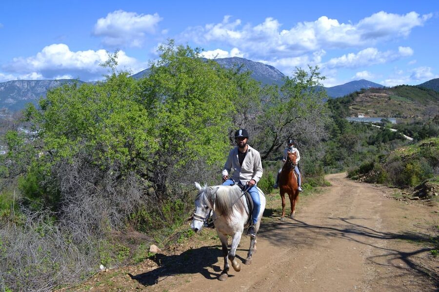 Alanya: Horse Riding Tour - From Alanya hotels to the Seki village horse farm