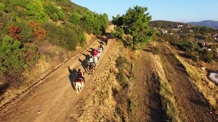 Alanya: Horse Riding Tour - Practical details before you book