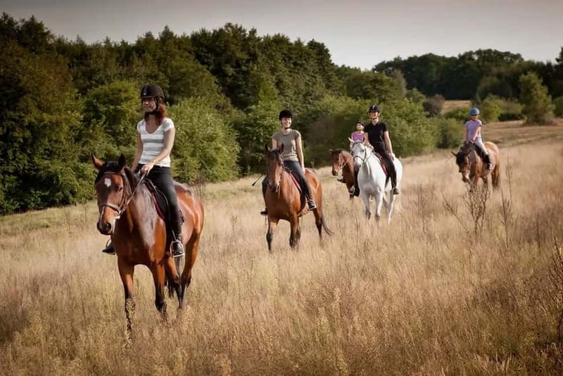 Alanya: Horse Riding Tour with Hotel Transfers - Meeting the Horses Before the Ride