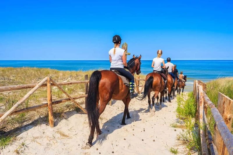 Alanya: Horse Riding Tour with Hotel Transfers - Riding the Forest Trail
