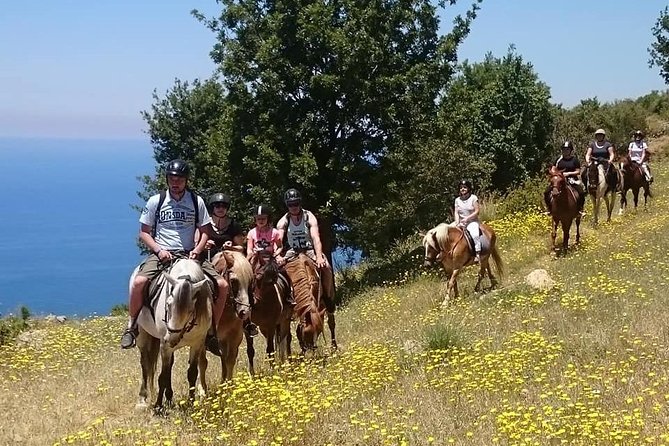 Alanya: Horseback Ride Through Nature near Syedra Ruins - Starting at the Alanya Horse Club