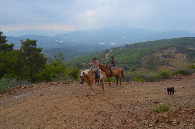 Alanya: Horseback Ride Through Nature near Syedra Ruins - Meeting the rescue horses
