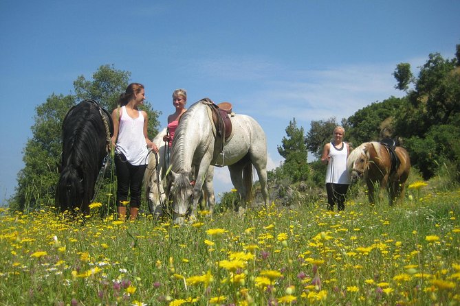 Alanya: Horseback Ride Through Nature near Syedra Ruins - Who should book this Alanya horse ride?