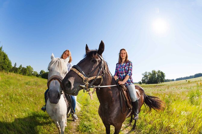 Alanya Horseback Riding Experience - A necessary word about horse welfare and safety