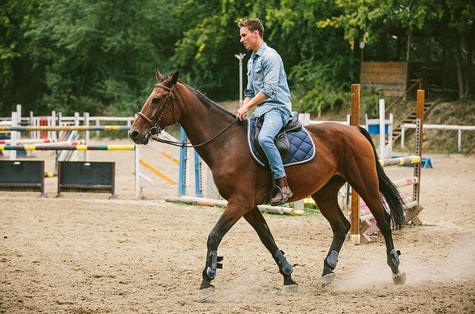 Alanya Horseback Riding Experience - Is $55.15 good value?