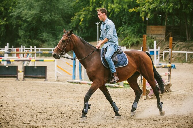 Alanya Horseback Riding Experience - Pickup, group size, and practical planning