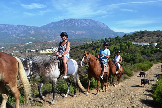 Alanya: Horseback Riding in Taurus: Forest Sea Views 2.5 Hours - Key points at a glance