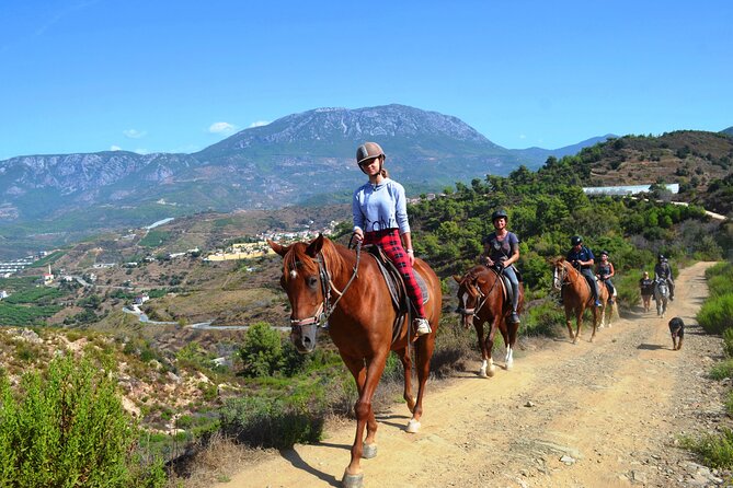 Alanya: Horseback Riding in Taurus: Forest Sea Views 2.5 Hours - Leaving Alanya for the Taurus foothills