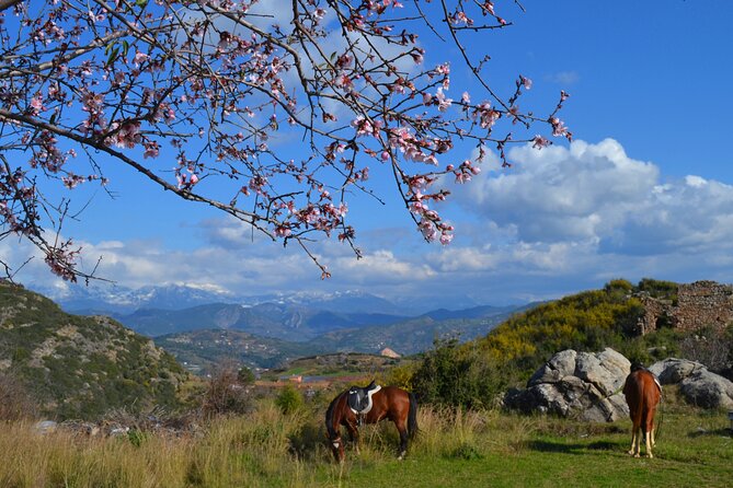 Alanya: Horseback Riding in Taurus: Forest Sea Views 2.5 Hours - The Roman ruins add real character