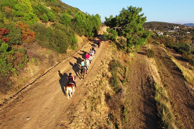 Alanya: Horseback Riding in Taurus: Forest Sea Views 2.5 Hours - What the five-hour schedule really means