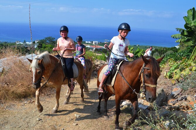 Alanya: Horseback Riding in Taurus: Forest Sea Views 2.5 Hours - Is $84.29 fair value?