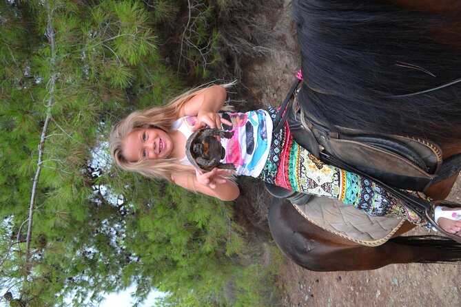 Alanya: Horseback Riding in Taurus: Forest Sea Views 2.5 Hours - Safety and comfort for beginners