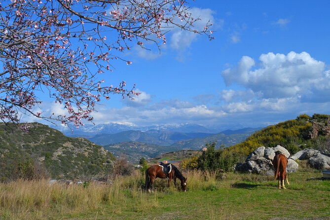 Alanya: Horseback Riding in Taurus: Forest Sea Views 2.5 Hours - Who will enjoy this most
