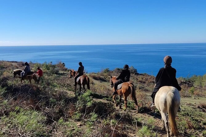 Alanya Horseback Riding in the Taurus Mountains with Transfer - Service, staff, and the value of the package