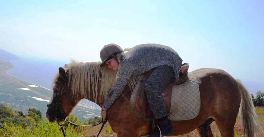 Alanya: Private Horse Safari - The Taurus Mountains, forests and rocky trails