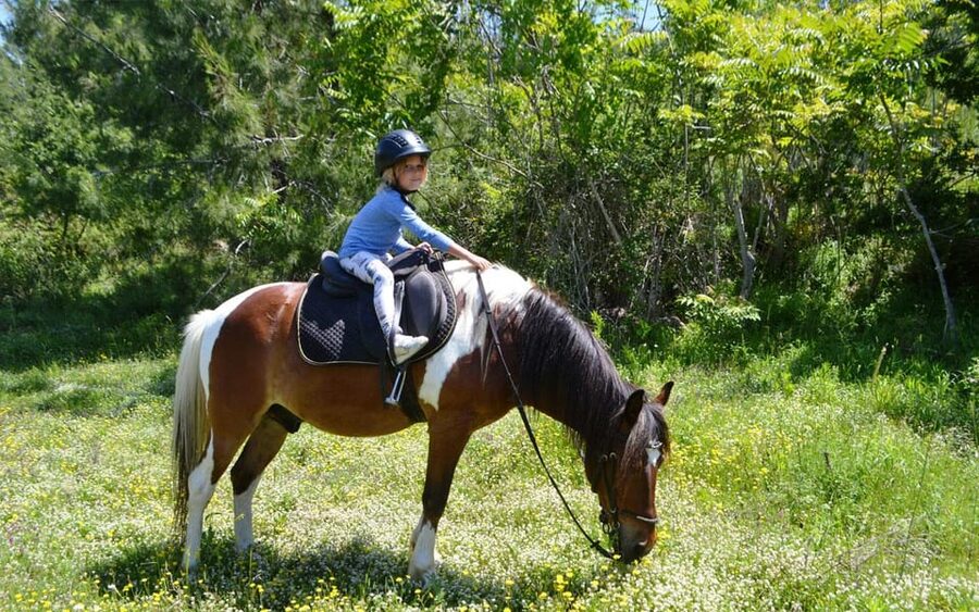 Alanya: Private Horse Safari - Who should book this horse safari?