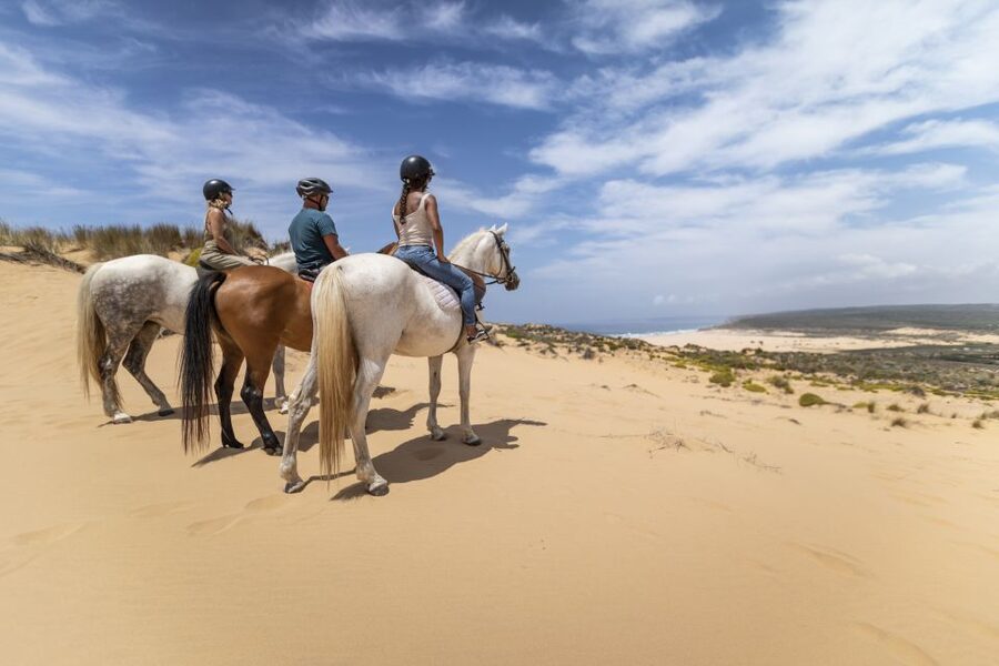 Algarve: 1-Hour Carrapateira Horseback Riding Tour - Following the coast toward the viewpoints