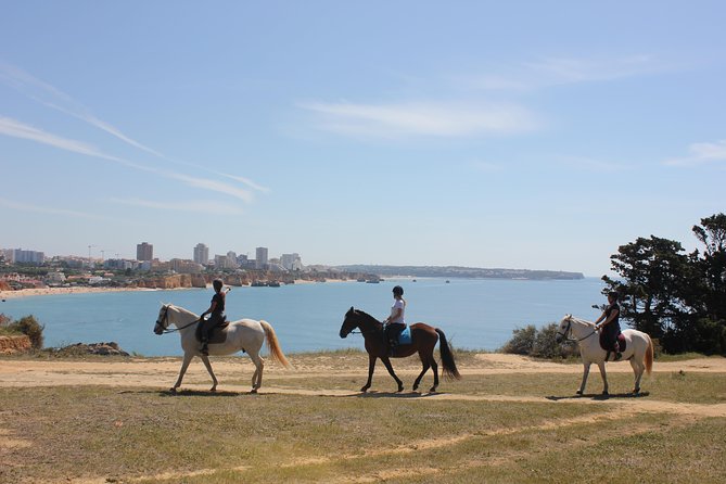 Algarve - Exclusive horseriding in Portimao (no experience required) - From Alvor’s stables to the Algarve coast