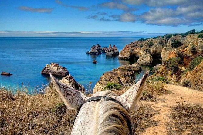 Algarve - Exclusive horseriding in Portimao (no experience required) - A gentle ride through pine shade and sandy trails