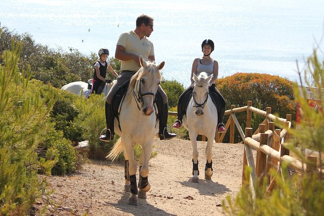 Algarve - Exclusive horseriding in Portimao (no experience required) - Why the rescue horses matter