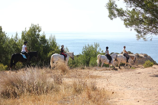 Algarve - Exclusive horseriding in Portimao (no experience required) - Small groups make a real difference