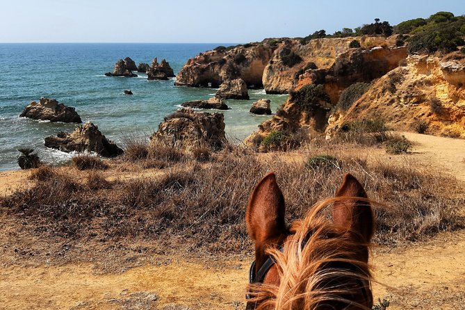 Algarve - Exclusive horseriding in Portimao (no experience required) - Price, timing, and practical planning