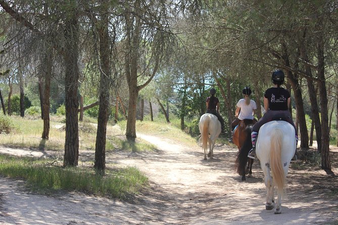 Algarve - Exclusive horseriding in Portimao (no experience required) - Coastal cliffs and photo stops