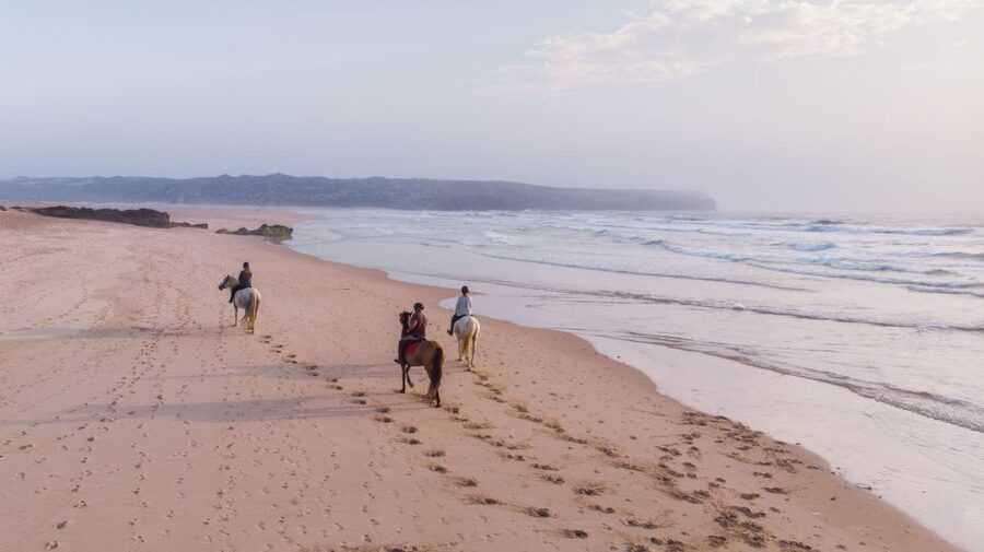 Algarve: Horse Riding Beach Tour at Sunset or Morning - From Carrapateira’s pine woods to the Atlantic