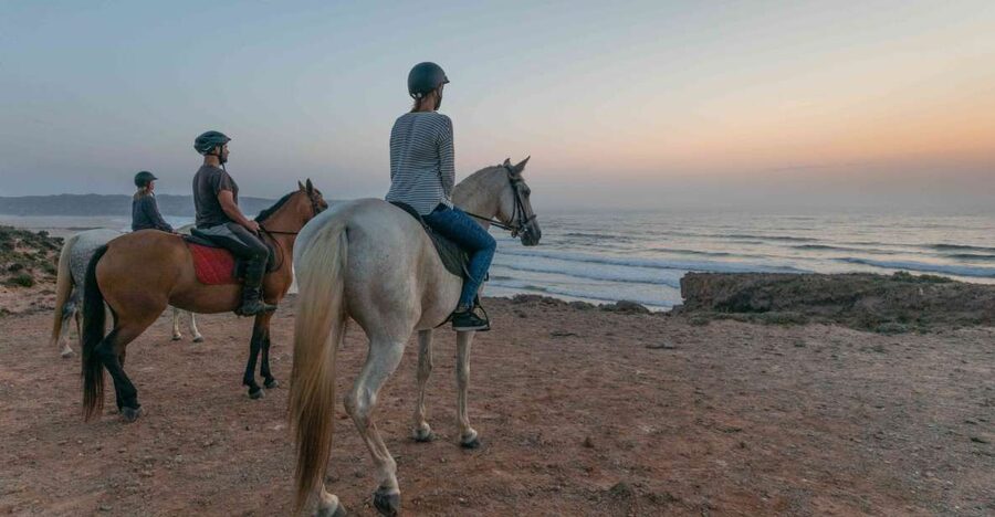 Algarve: Horse Riding Beach Tour at Sunset or Morning - Meeting the horses and getting ready