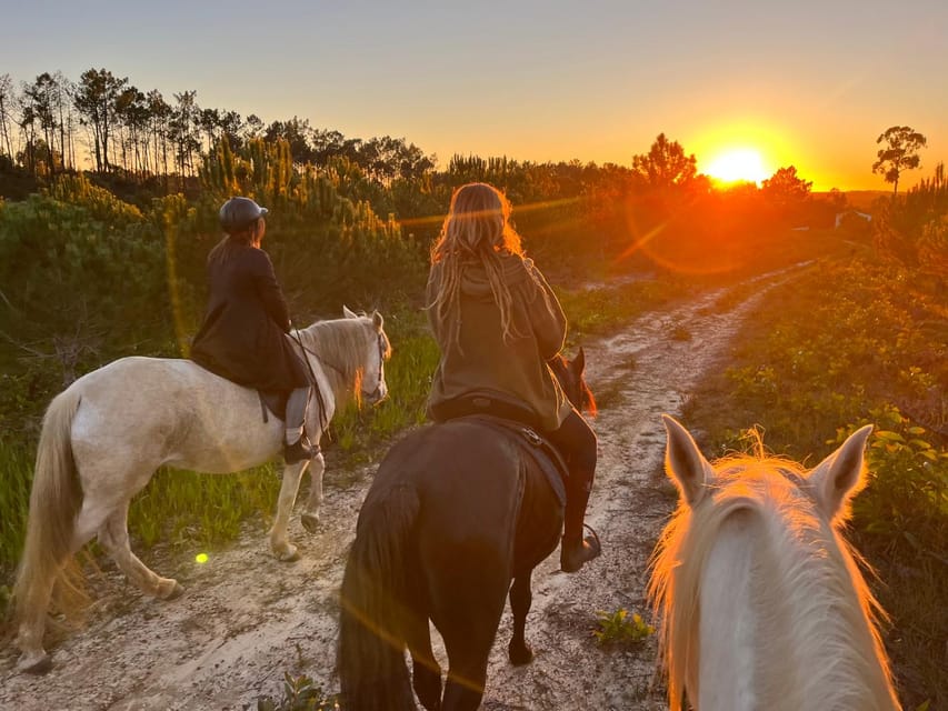 Algarve Horseriding tour in the countryside of Aljezur Rogil - A Gentle Ride Into the Costa Vicentina Countryside