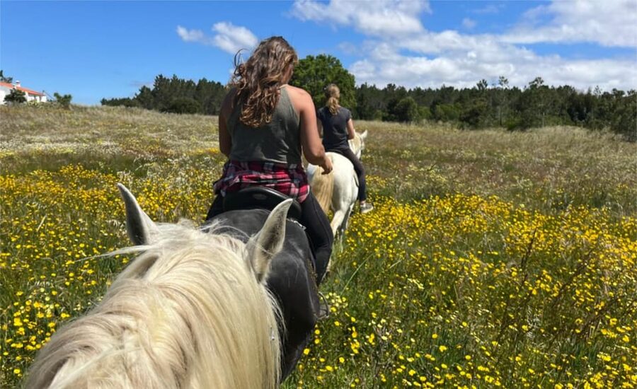 Algarve Horseriding tour in the countryside of Aljezur Rogil - Why a Three-Person Group Matters