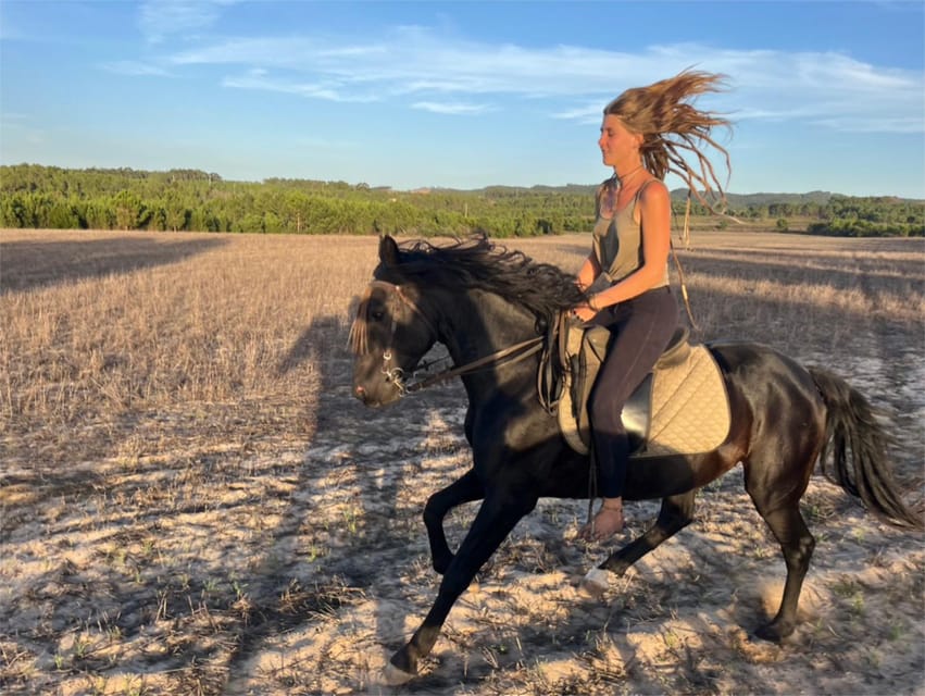 Algarve Horseriding tour in the countryside of Aljezur Rogil - What Makes This Experience Feel Personal
