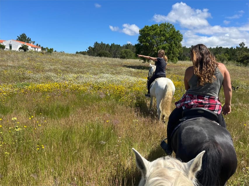 Algarve Horseriding tour in the countryside of Aljezur Rogil - Should You Book the Rogil Horse Ride?