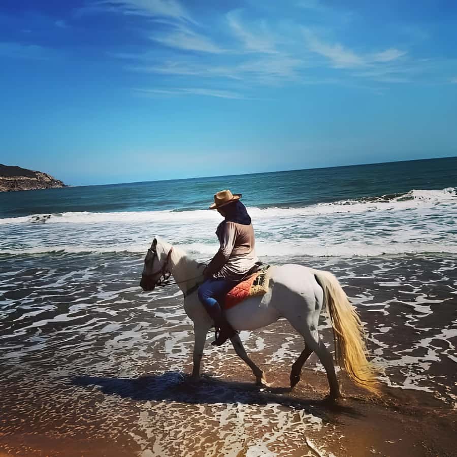 Algeria Daytour : Snorkeling & Horse Riding with lunch - A full day that changes character twice