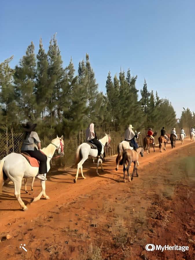 Algeria Daytour : Snorkeling & Horse Riding with lunch - Horse riding through fields, forest, or near the shore