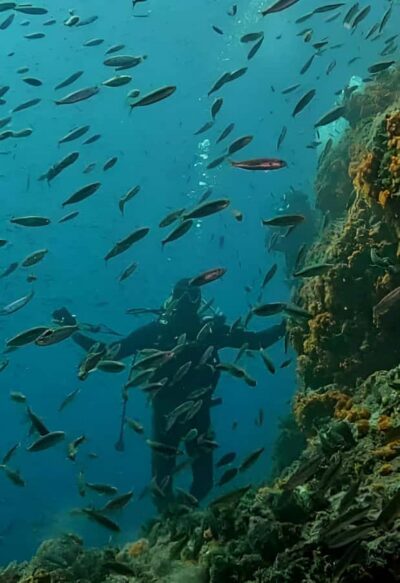 Algeria Daytour : Snorkeling & Horse Riding with lunch