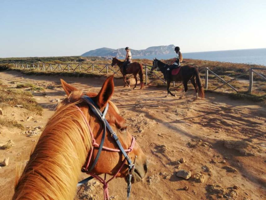 Alghero: Guided Horseback Ride at Lake Baratz & Porto Ferro - Key points to know before you ride