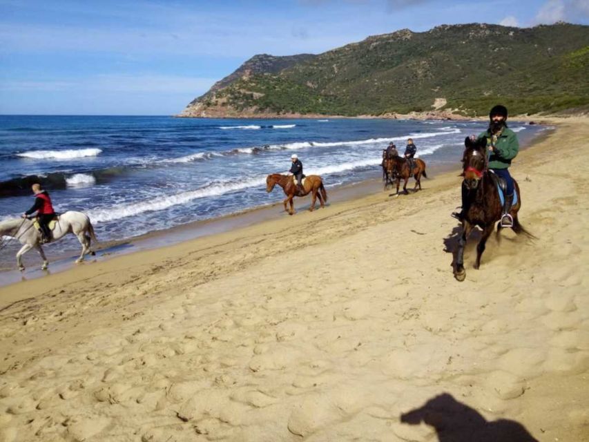 Alghero: Guided Horseback Ride at Lake Baratz & Porto Ferro - A beginner-friendly ride with real support