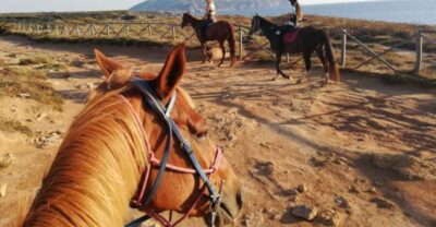 Alghero: Guided Horseback Ride at Lake Baratz & Porto Ferro