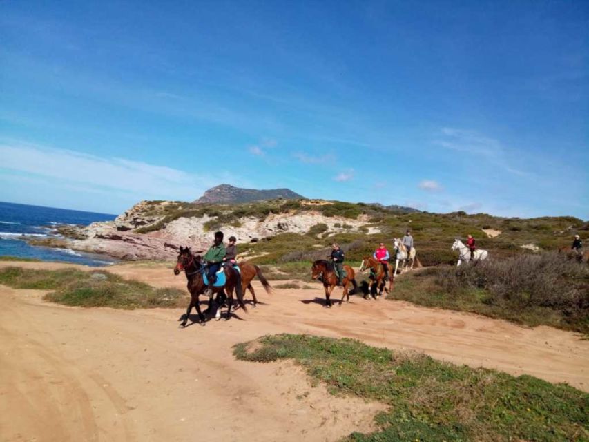 Alghero: Guided Horseback Ride at Lake Baratz & Porto Ferro - What experienced riders should expect