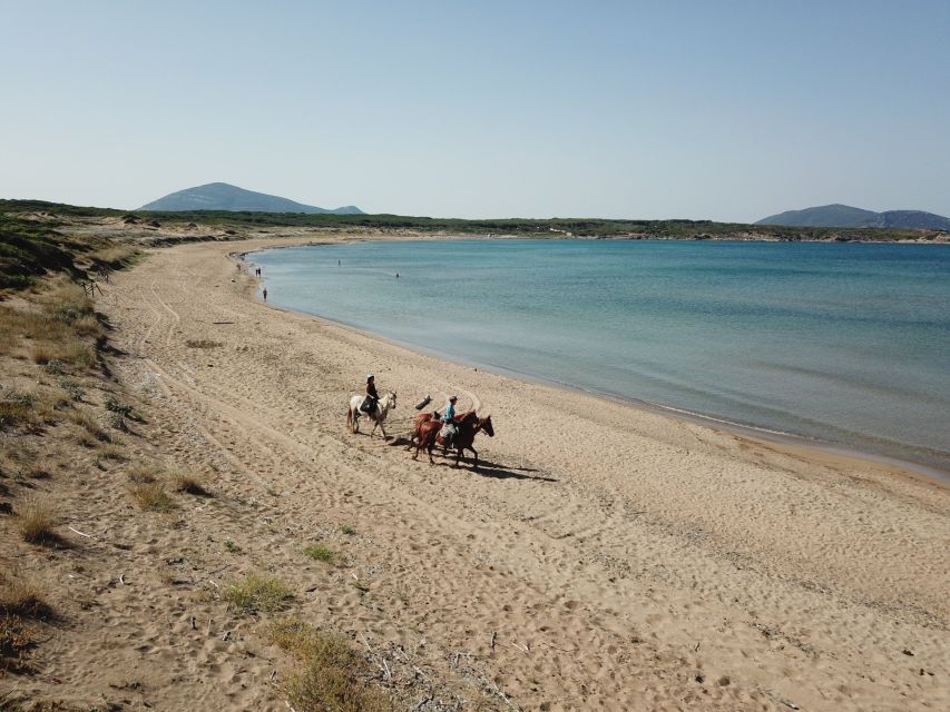 Alghero: Guided Horseback Ride at Lake Baratz & Porto Ferro - Timing, weather, and what to wear