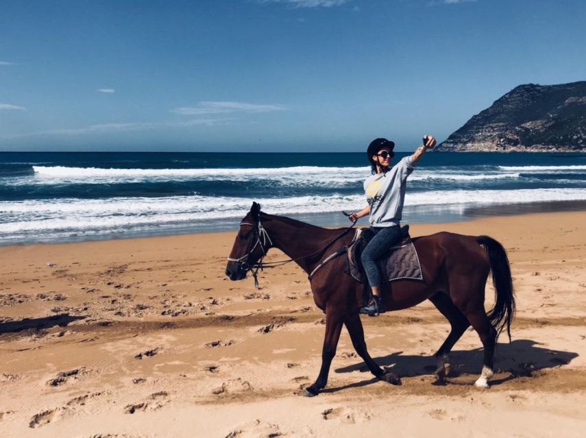 Alghero: Guided Horseback Ride at Lake Baratz & Porto Ferro - Who should book this Alghero horseback ride?