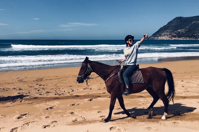 Alghero: horseback ride in Porto Ferro and Lake Baratz - Porto Ferro’s reddish sand and pine-framed shore
