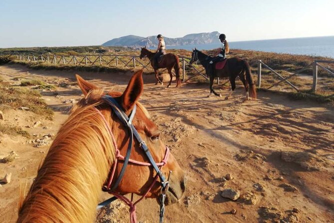 Alghero: horseback ride in Porto Ferro and Lake Baratz - What the $60.21 price buys you