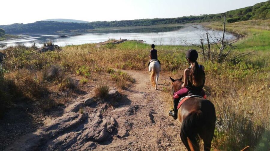Alghero: Lake Baratz Guided Horseback Ride - Mediterranean plants along the forest route