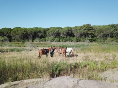 Alghero: Lake Baratz Guided Horseback Ride