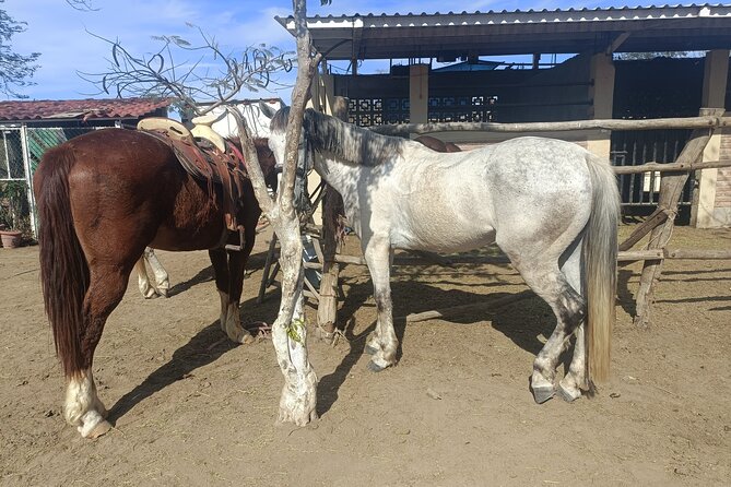 All Inclusive Beach Club, Water Sports, Horse Ride, Food & Drinks - How organized is the day?