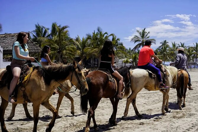 All Inclusive Beach Club, Water Sports, Horse Ride, Food & Drinks - Reaching Isla de las Piedras from the cruise terminal